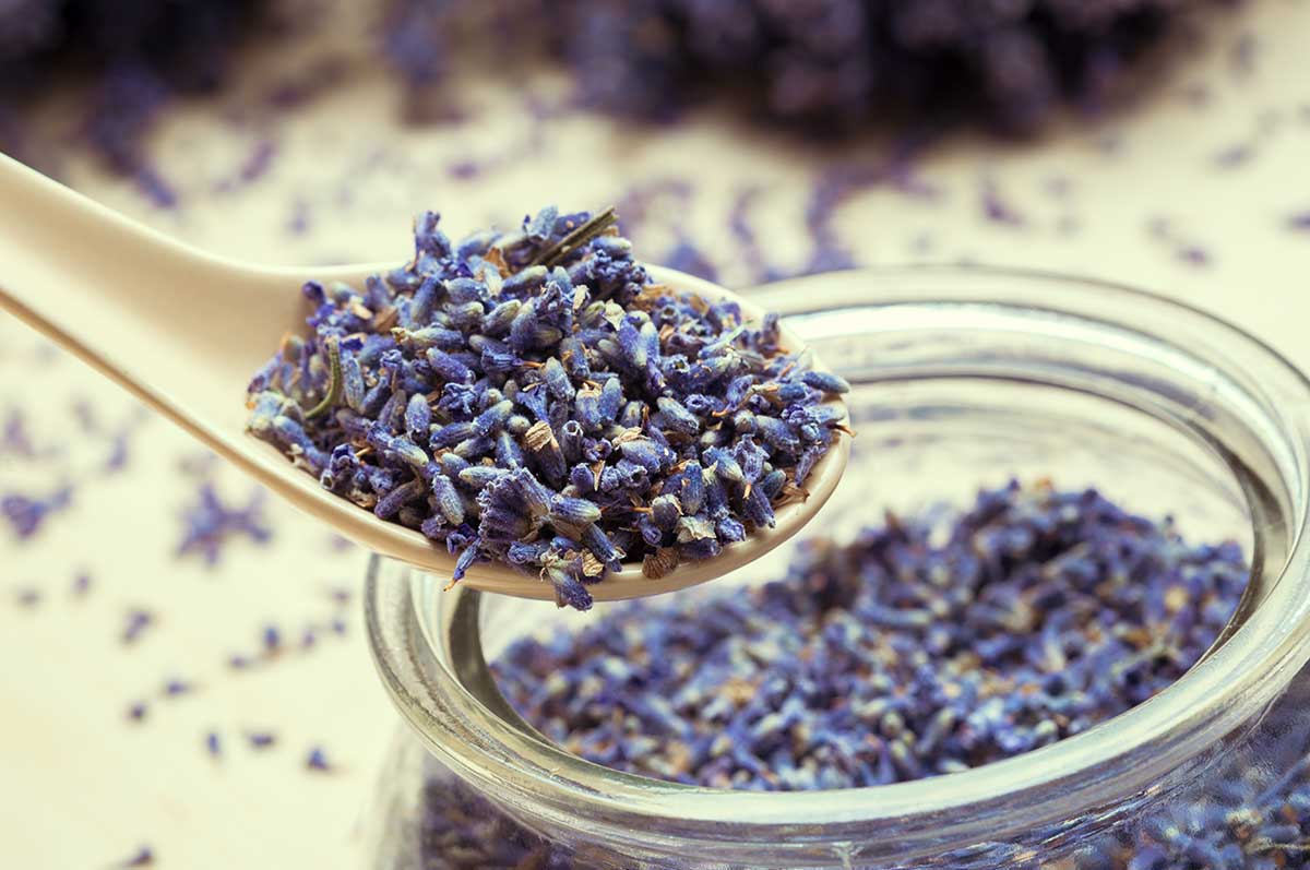 spoon of dry lavenders